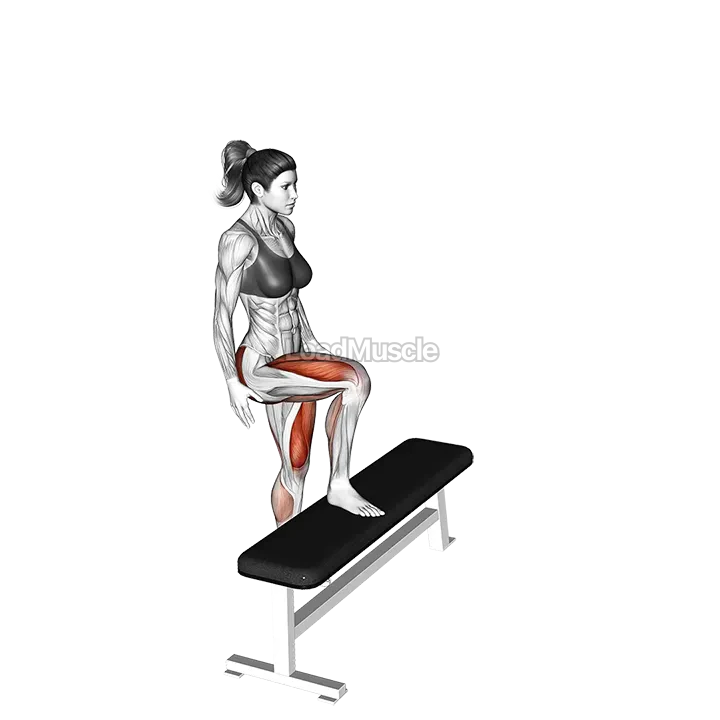 High Knee Step up demonstration