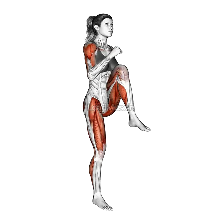 High knees butt kicks demonstration