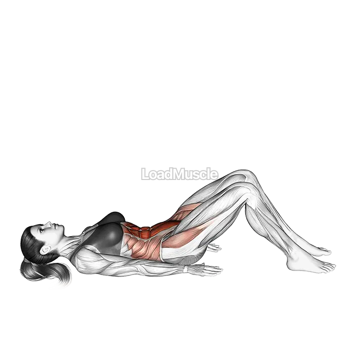 Hip Crunch (knees bent) demonstration