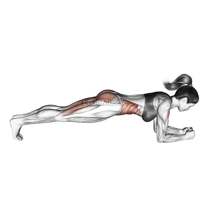 Hip Raise Bridge demonstration