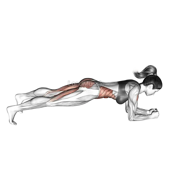 Hip Raise Bridge demonstration