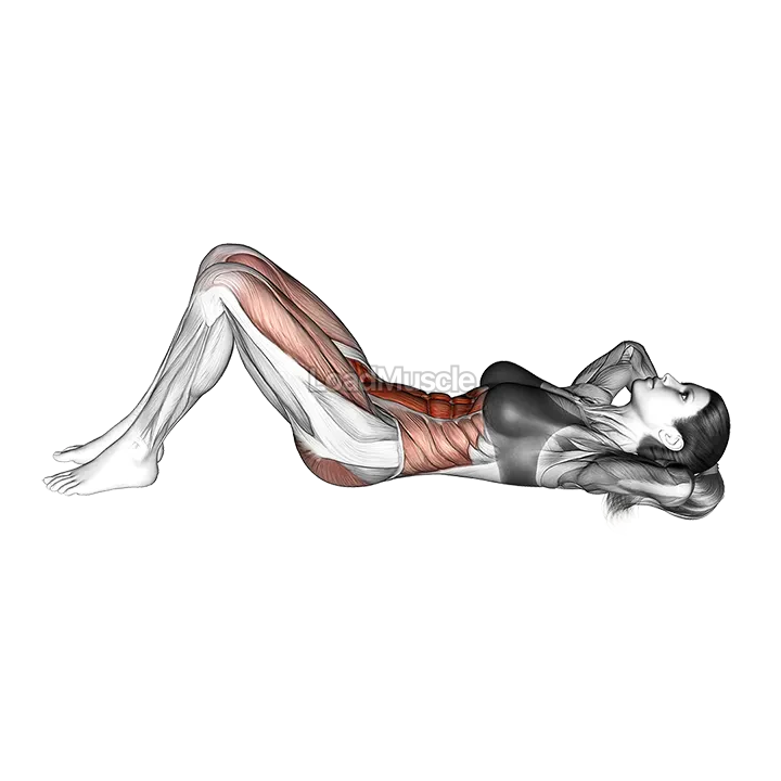 Hip Raise Crunch demonstration