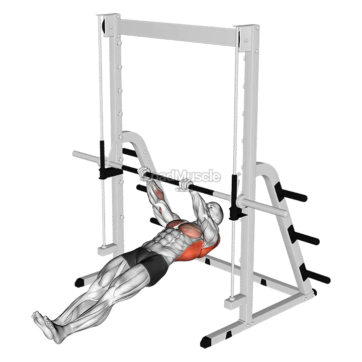 Inverted Row demonstration