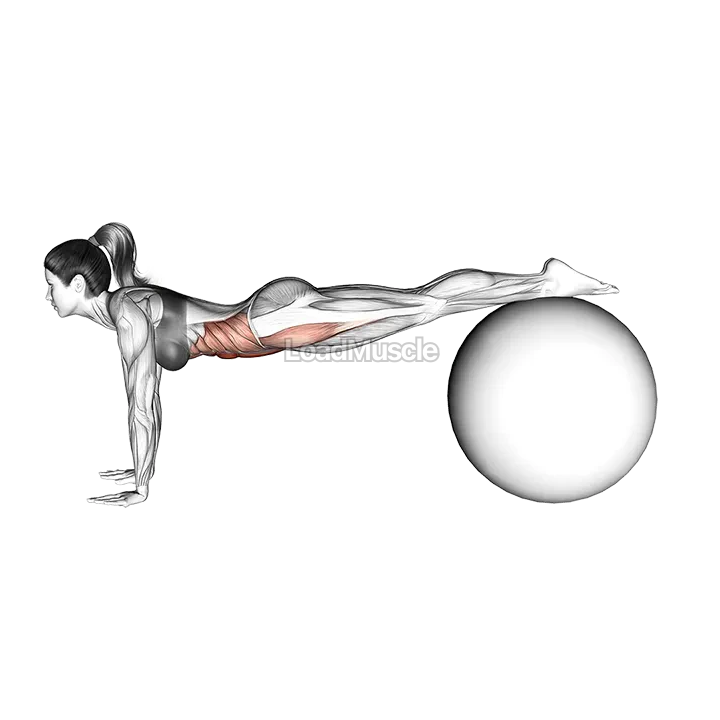 Jack knife on Ball demonstration