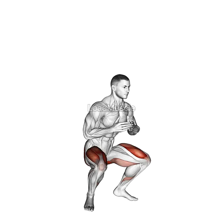 Jump Squat demonstration