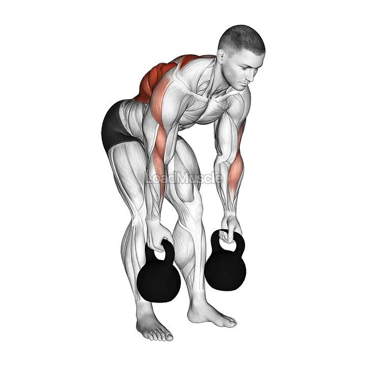 Kettlebell Alternating Row demonstration