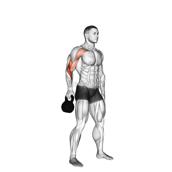 Kettlebell Bottoms Up Clean From The Hang Position demonstration