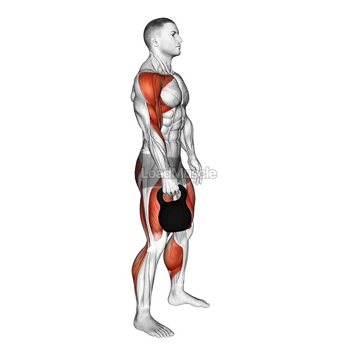 Kettlebell Hang Clean demonstration