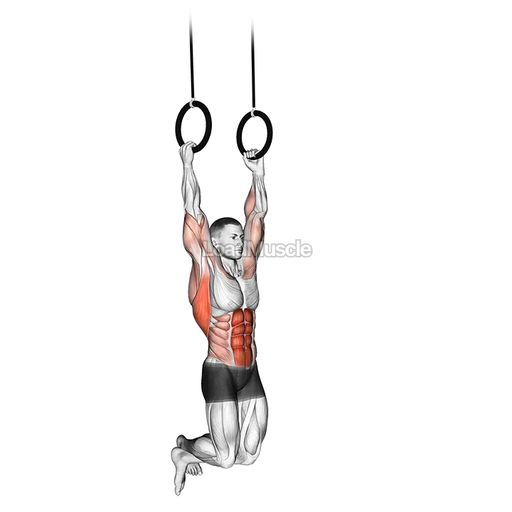 Kipping Muscle Up demonstration