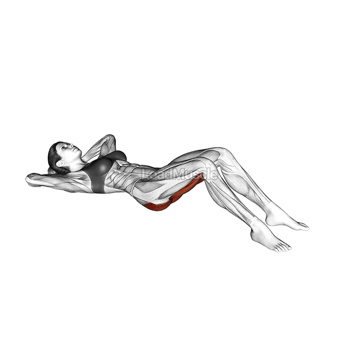 Knee to chest Stretch demonstration