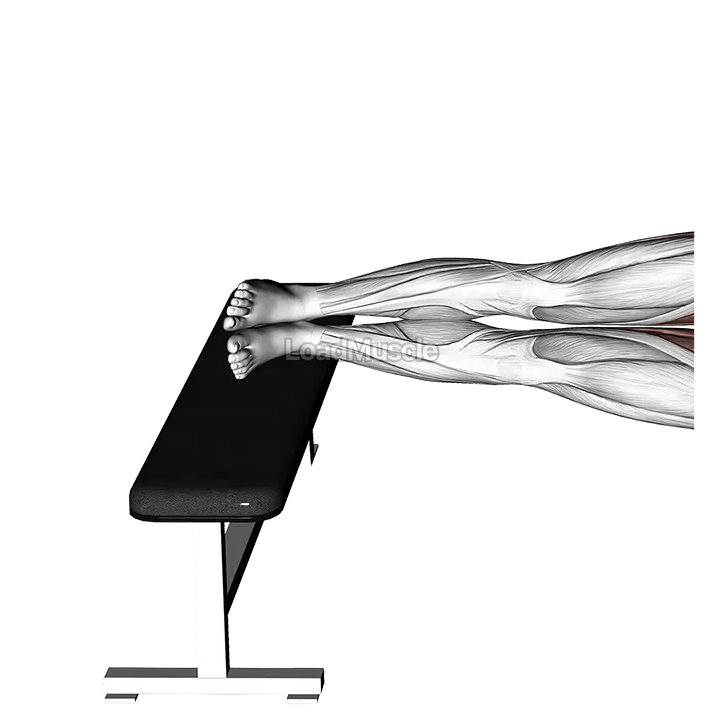 Leg Bench Side Bridge demonstration