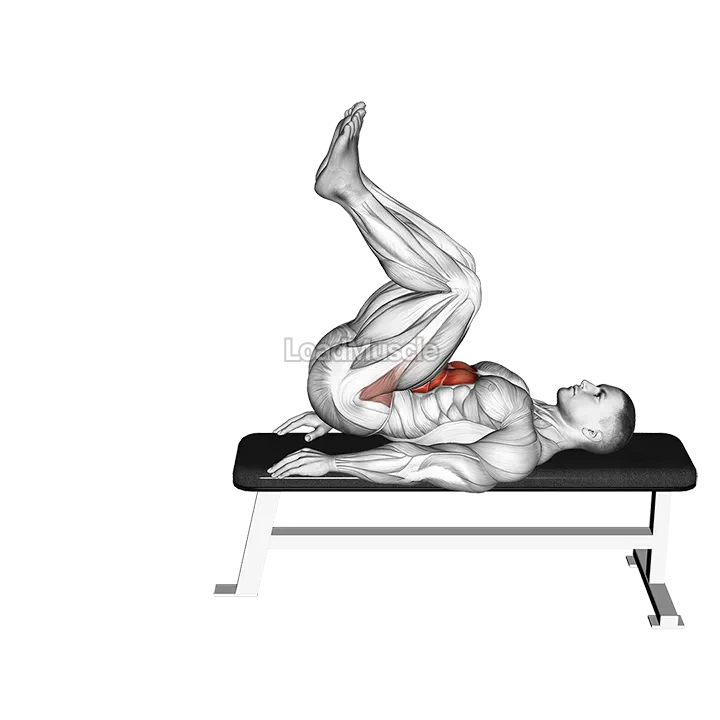 Leg Pull In Flat Bench demonstration