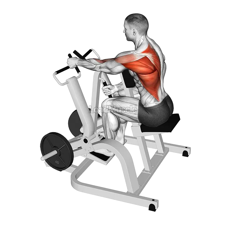 Lever Single Arm Neutral Grip Seated Row (plate loaded) demonstration
