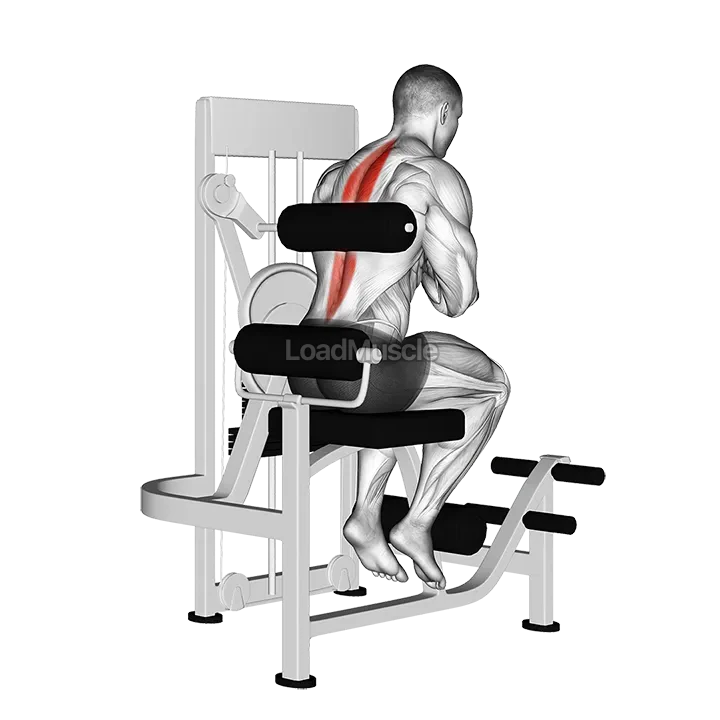 Lever Back Extension demonstration