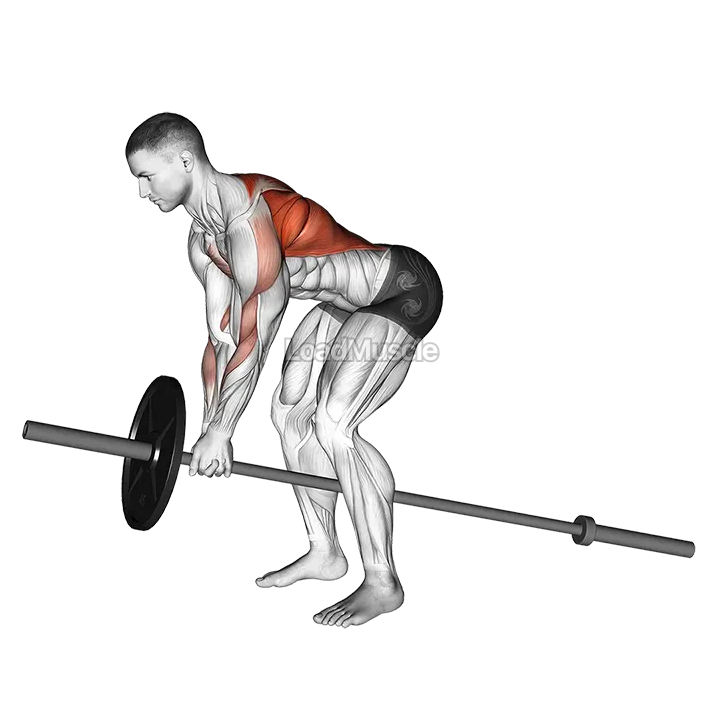 Lever Bent over Row (plate loaded) demonstration