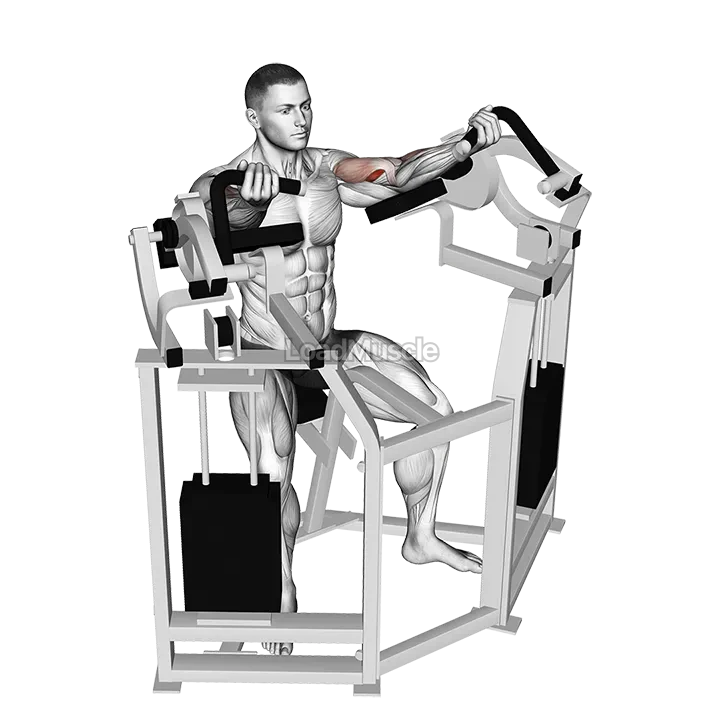 Lever Bicep Curl demonstration