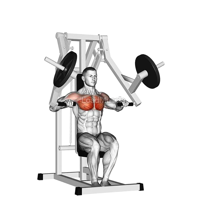 Lever Chest Press (plate loaded) demonstration