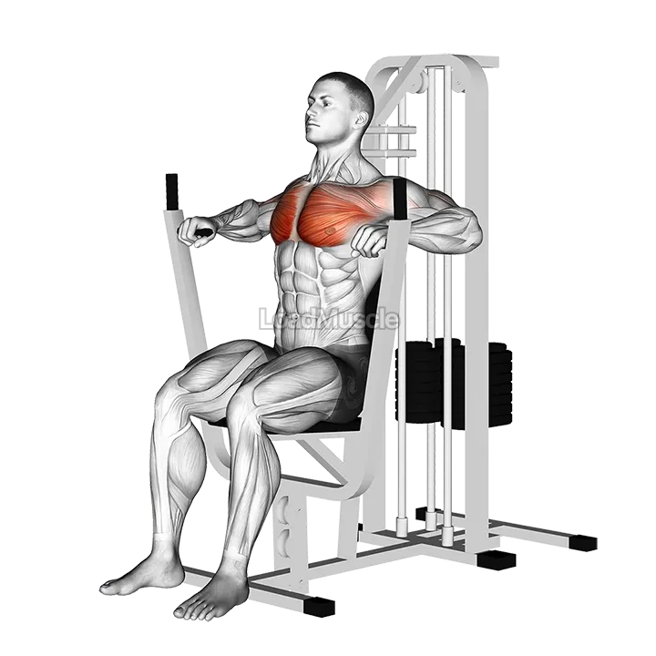 Lever Chest Press demonstration