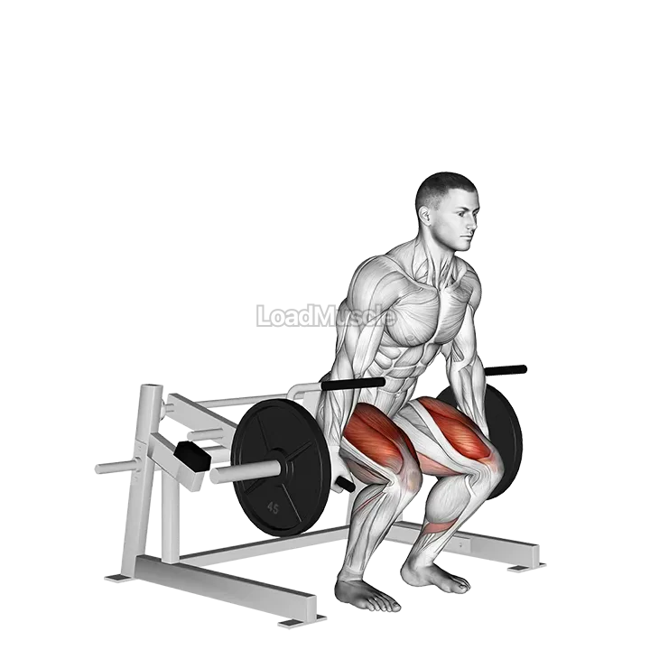 Lever Deadlift (plate loaded) demonstration