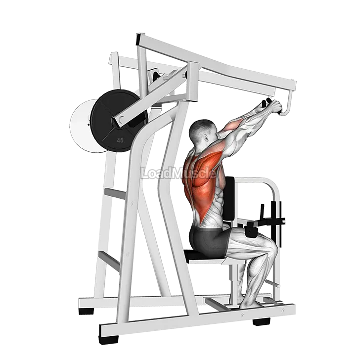 Lever High Row (plate loaded) demonstration