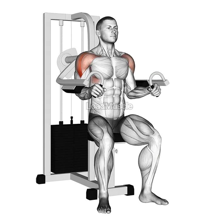 Lever Lateral Raise demonstration