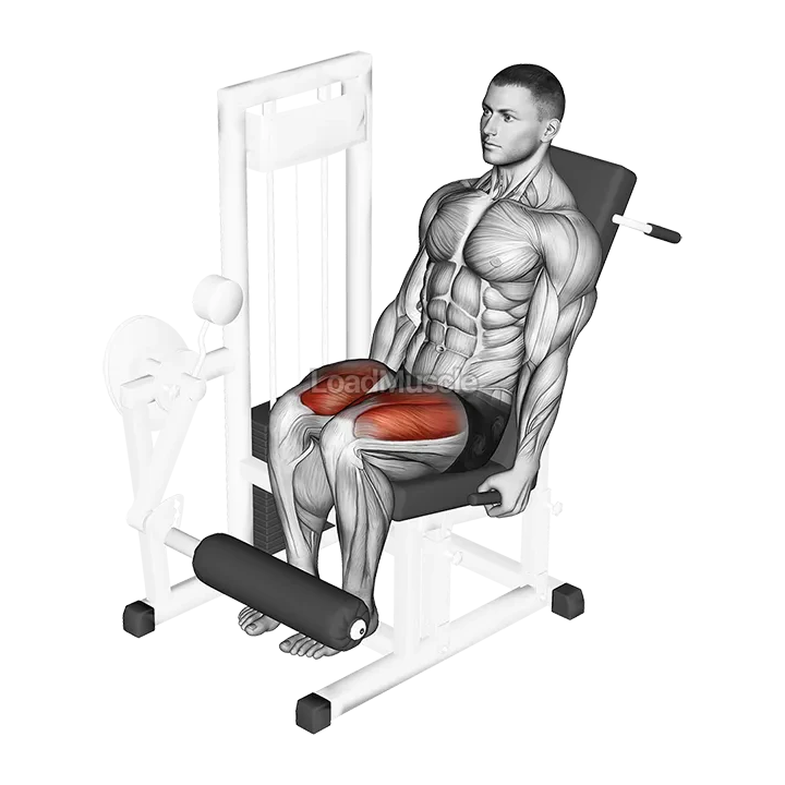 Lever Leg Extension demonstration