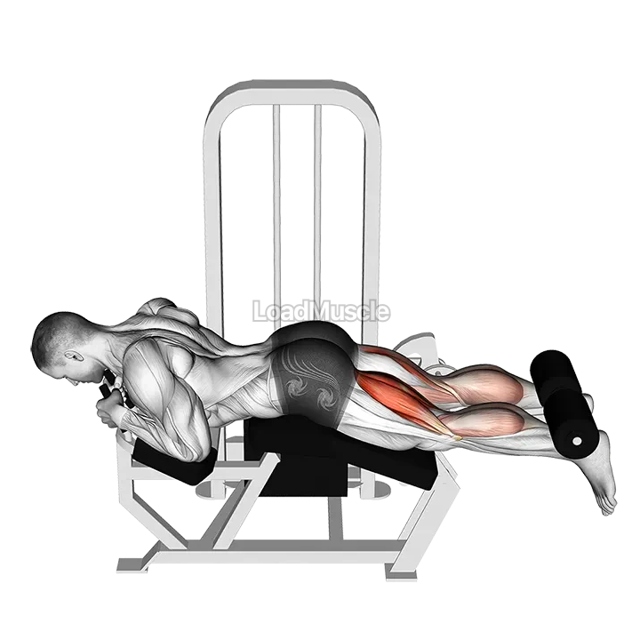 Lever Lying Leg Curl demonstration