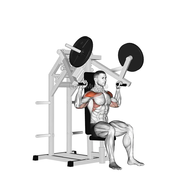 Lever Military Press (plate loaded) demonstration