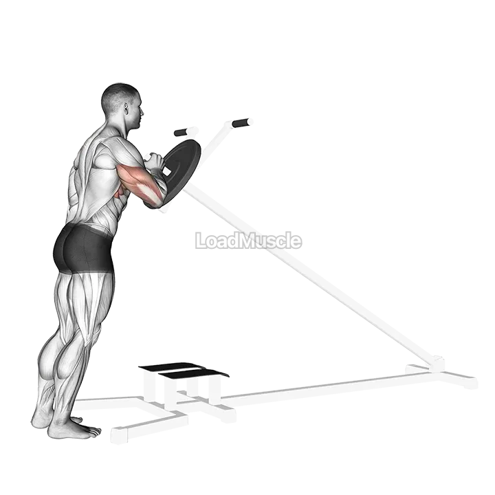 Lever One Arm Shoulder Press (plate loaded) demonstration