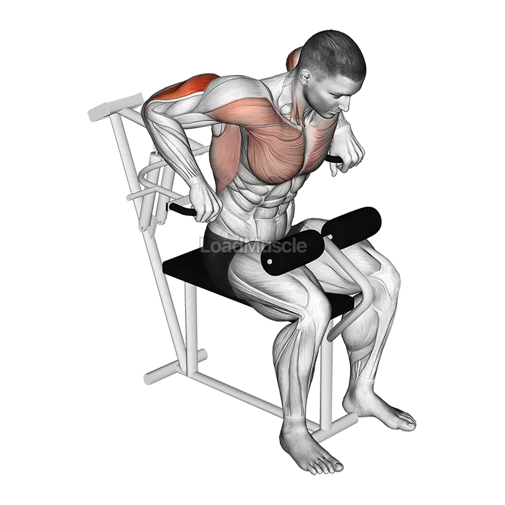 Lever Overhand Triceps Dip demonstration