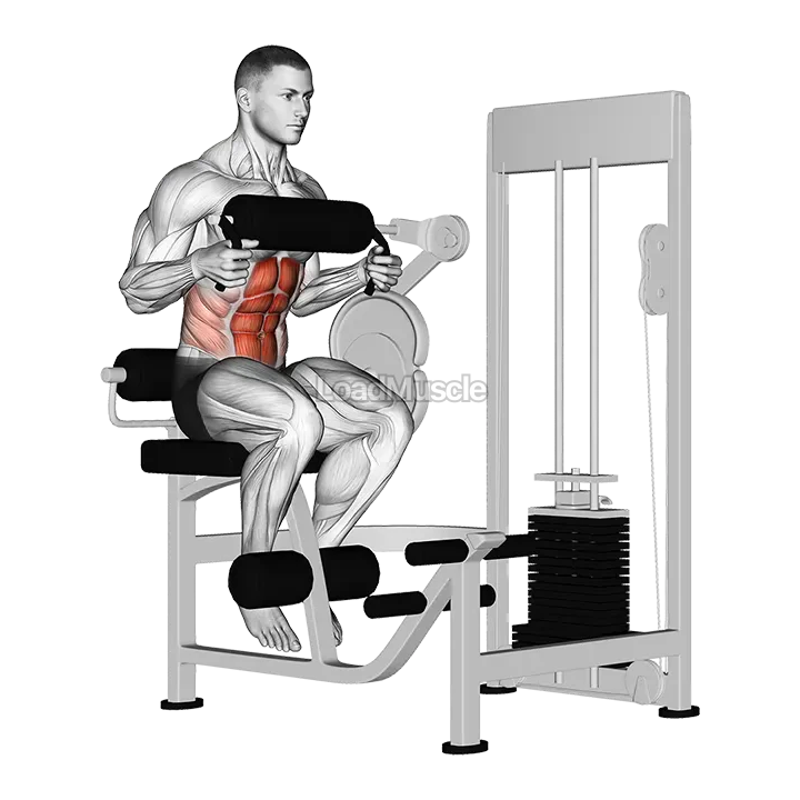 Lever Seated Crunch (chest pad) demonstration