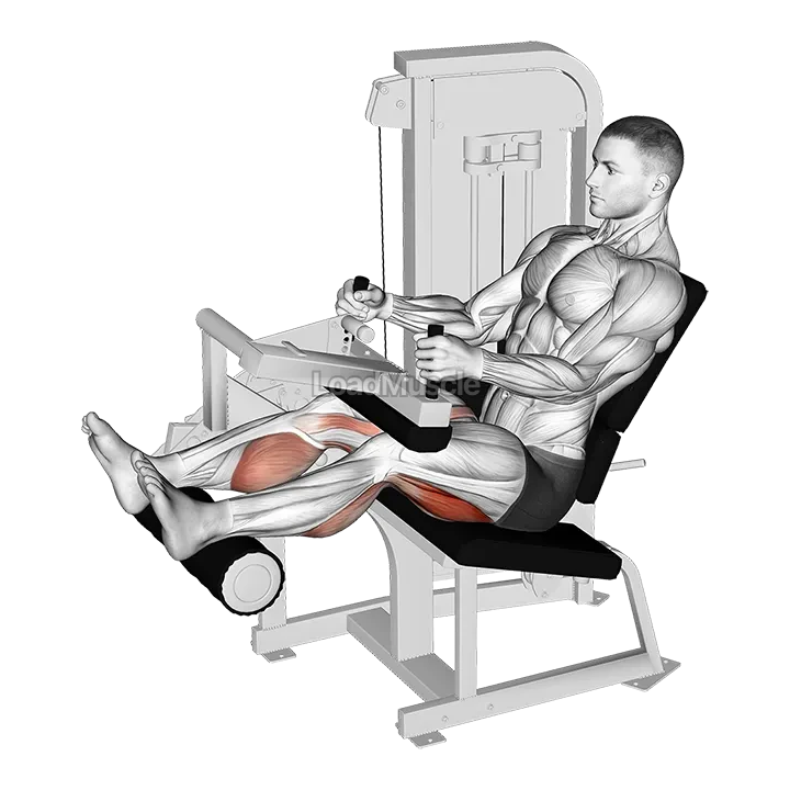 Lever Seated Leg Curl demonstration