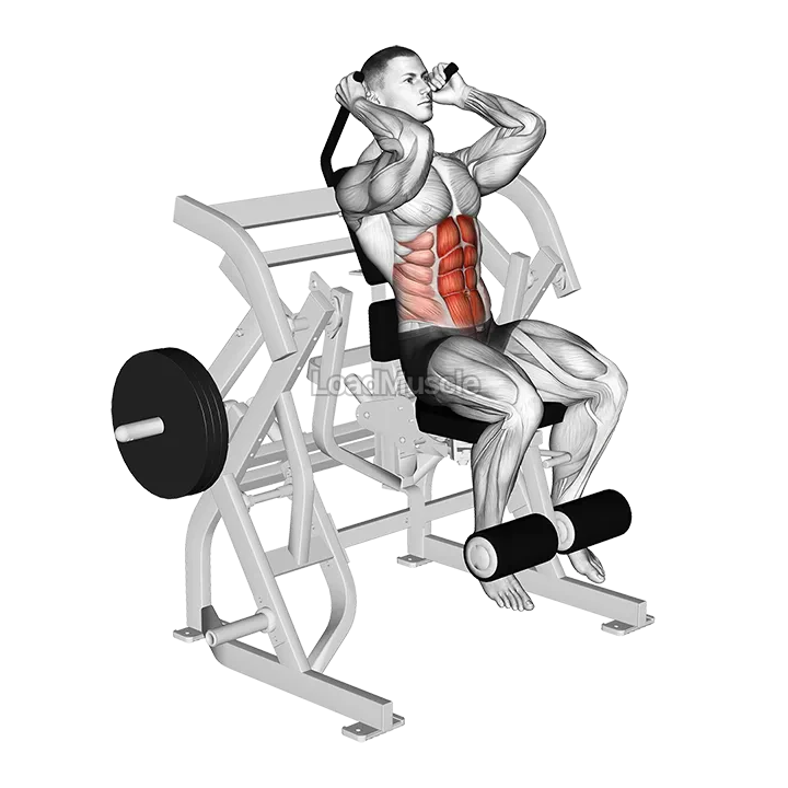 Lever Seated Leg Raise Crunch (plate loaded) demonstration
