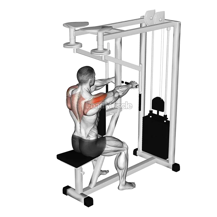 Lever Seated Reverse Fly demonstration