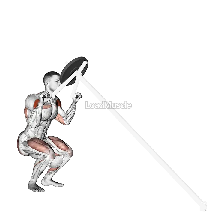 Lever Shoulder Press (plate loaded) demonstration