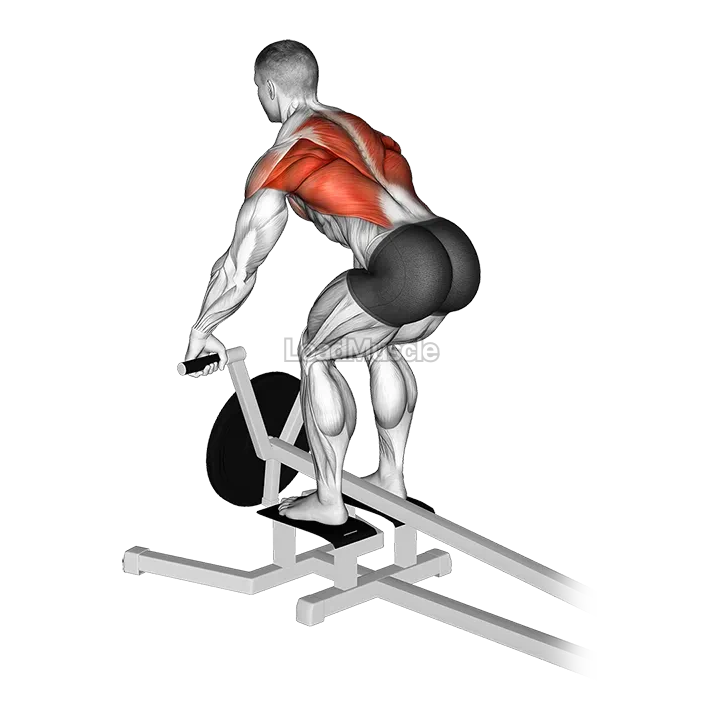 Lever T bar Row (plate loaded) demonstration