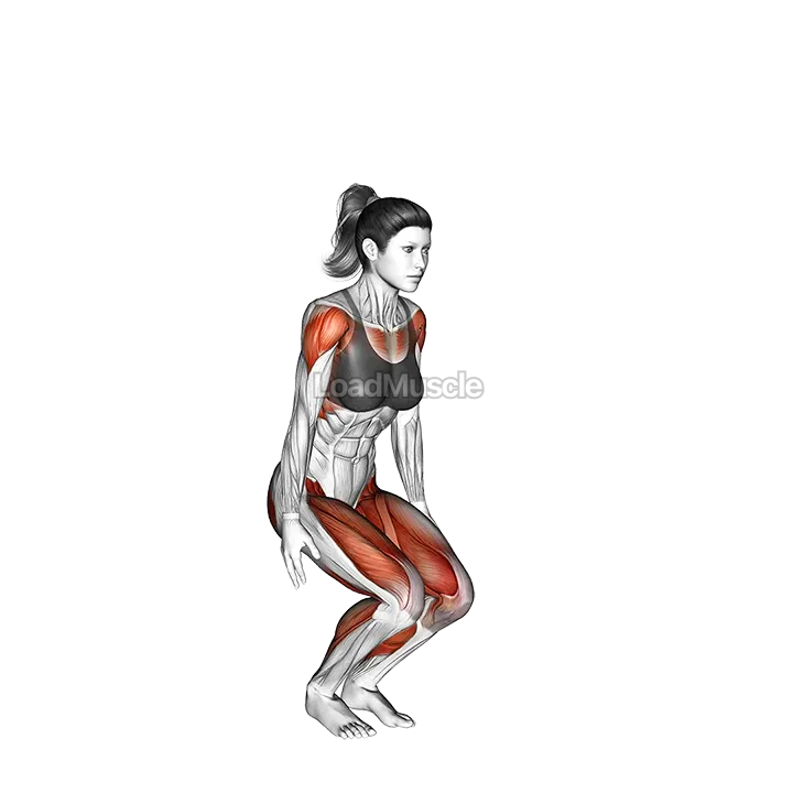 Low Jacks demonstration