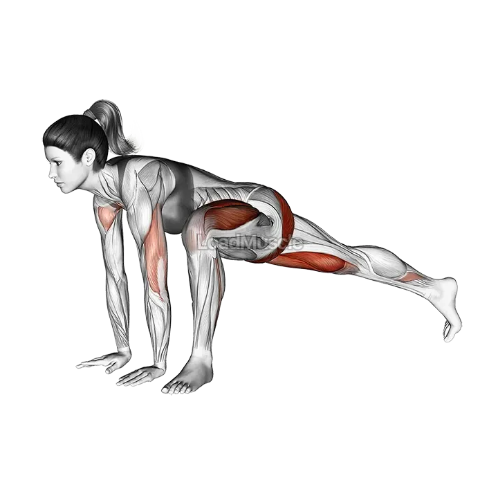 Lunge Push up demonstration