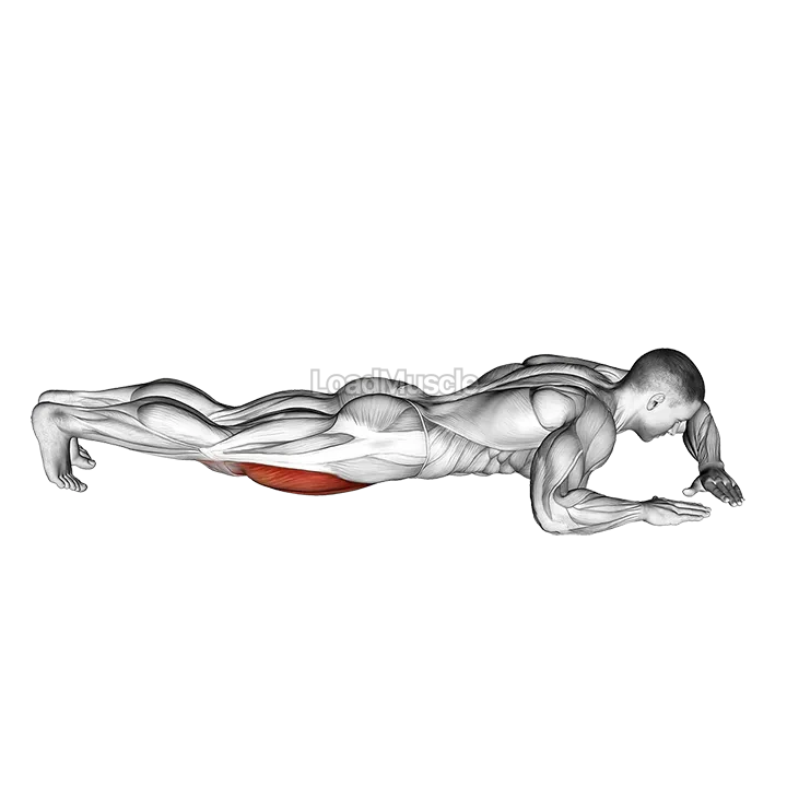 Lying (side) Quadriceps Stretch demonstration