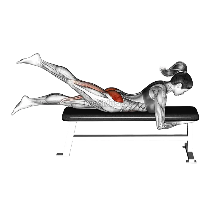 Lying Alternate Hip Extension demonstration