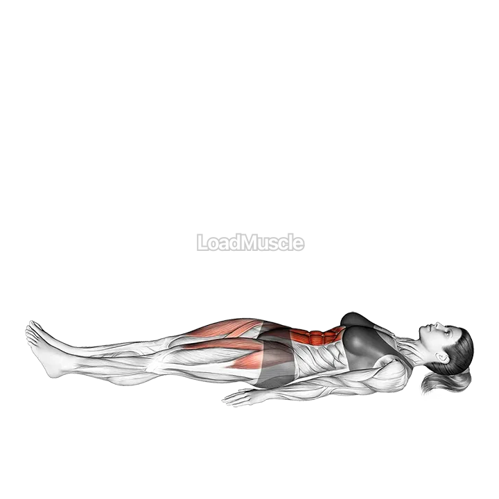 Lying Hip Straight Leg Raise demonstration