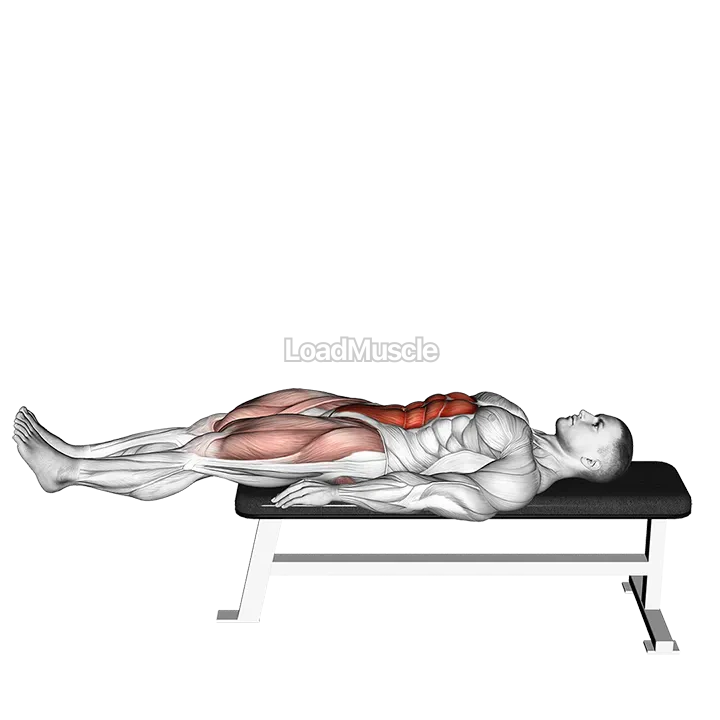 Lying Leg Raise Flat Bench demonstration