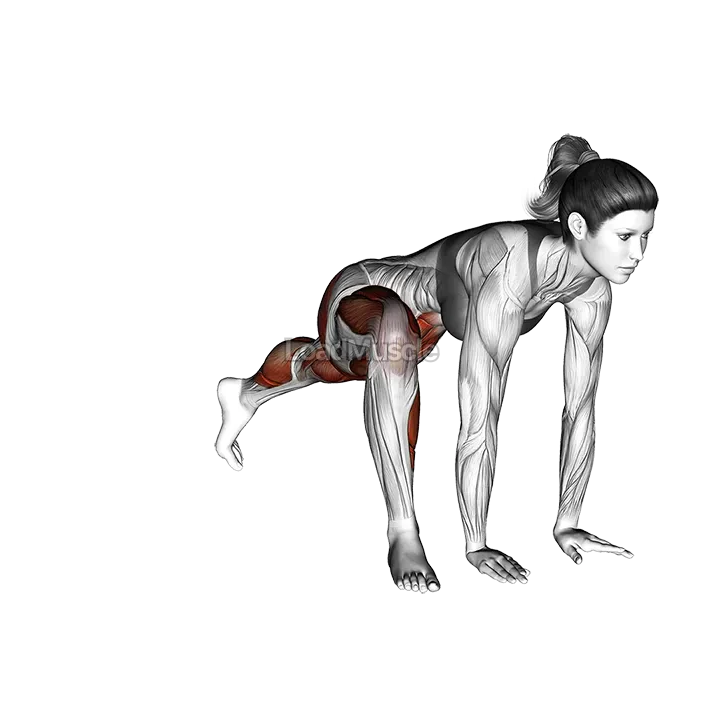 Mountain Climber Lunge demonstration