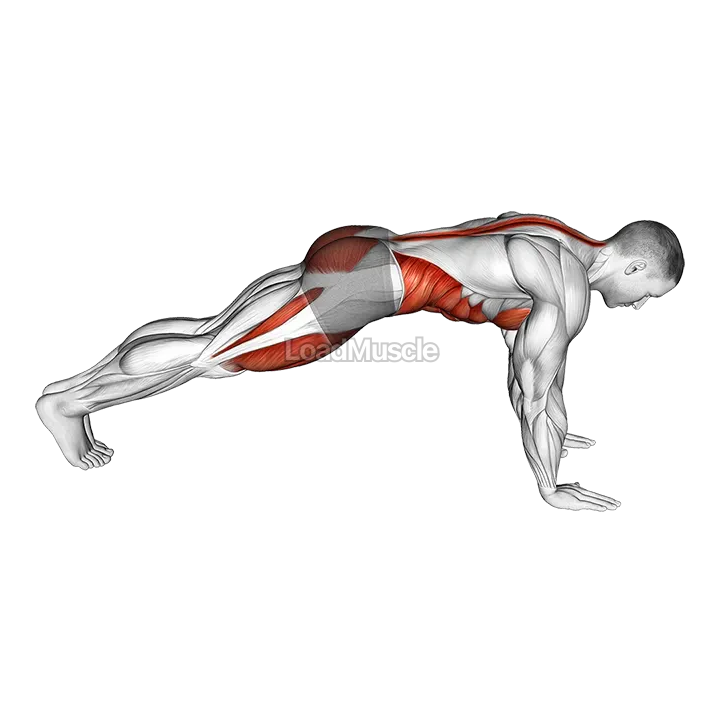 Mountain Climber demonstration