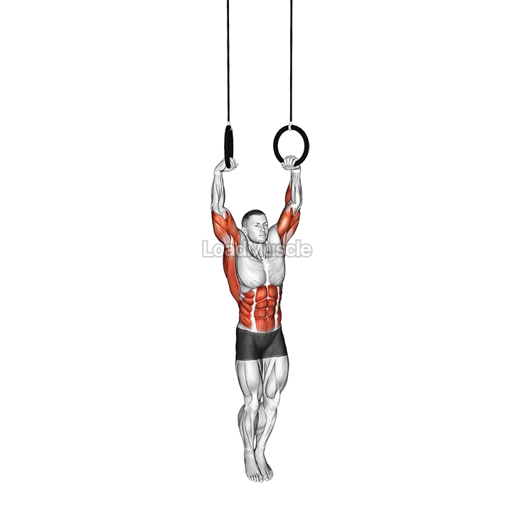 Muscle Up demonstration