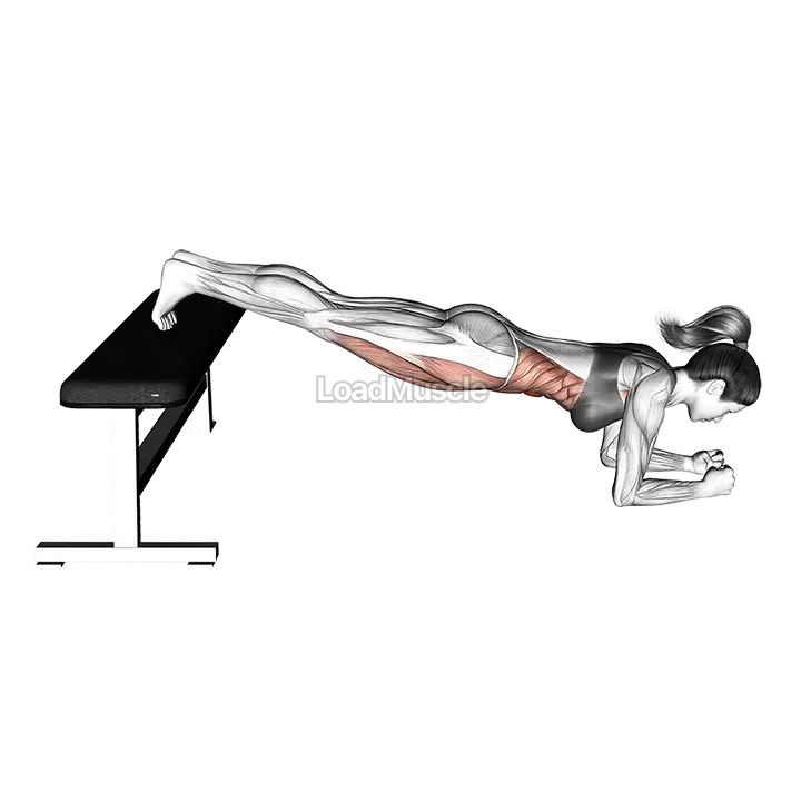 Narrow Leg Bench Bridge demonstration