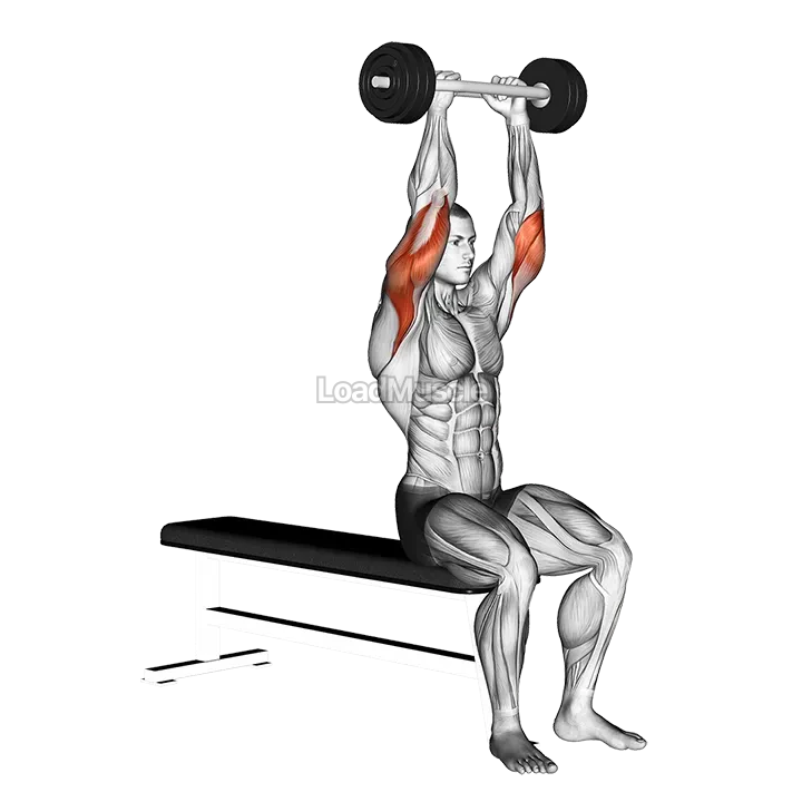 Olympic Barbell Triceps Extension demonstration