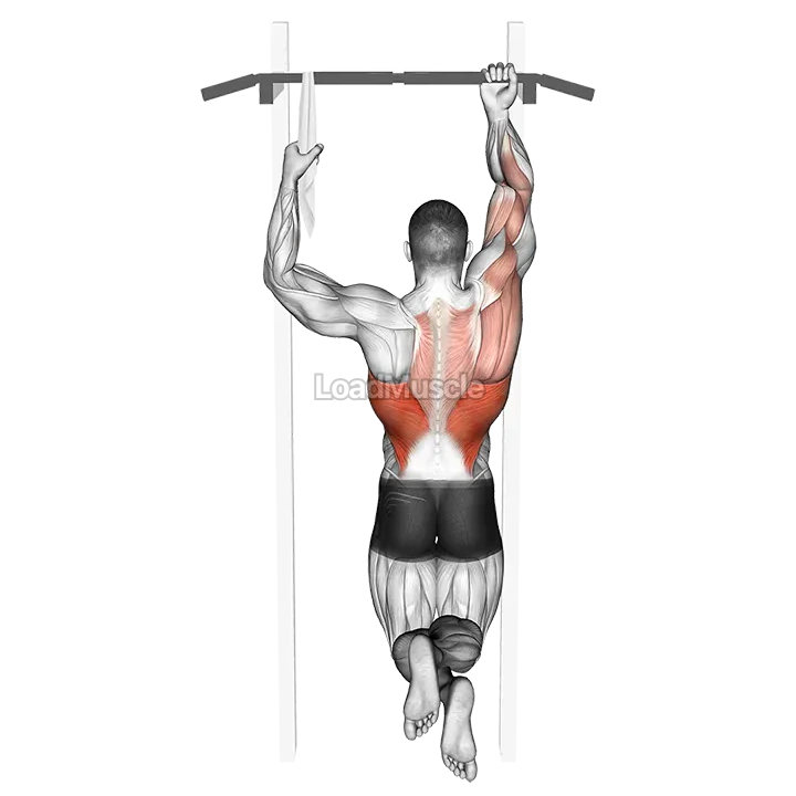 One Arm Chin Up demonstration