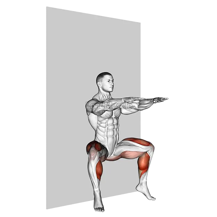 Plyo Sit Squat (wall) demonstration