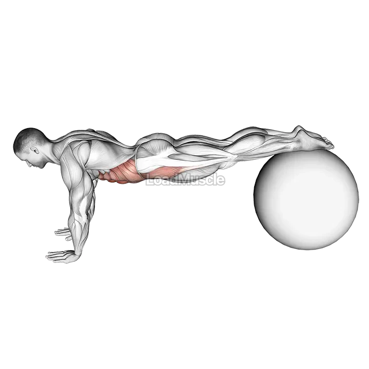 Pull In (on stability ball) demonstration